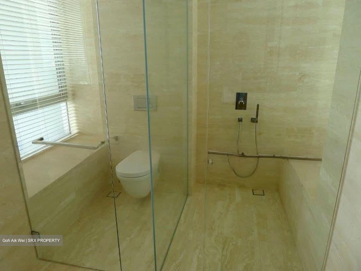 Ardmore II (D10), Condominium #593005001
